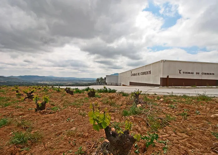 Hotel Tierras De Cebreros photo
