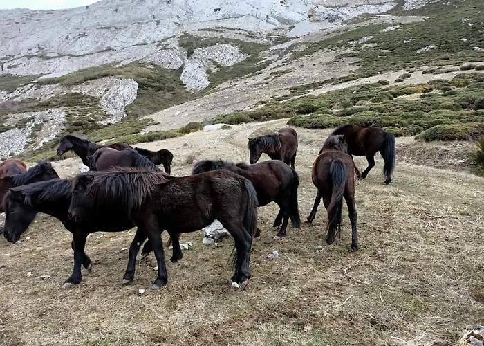 Los Casares Riano  photo