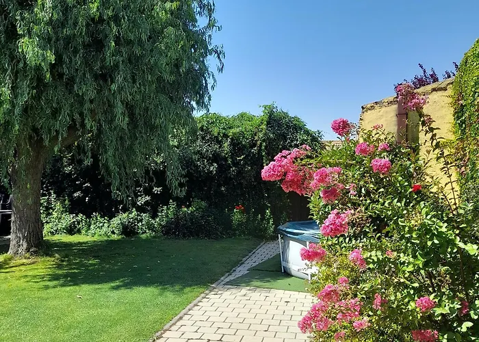 Nieva El Molino别墅照片