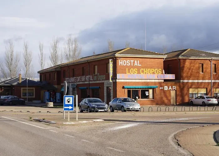 Hostal Los Chopos Osorno photo